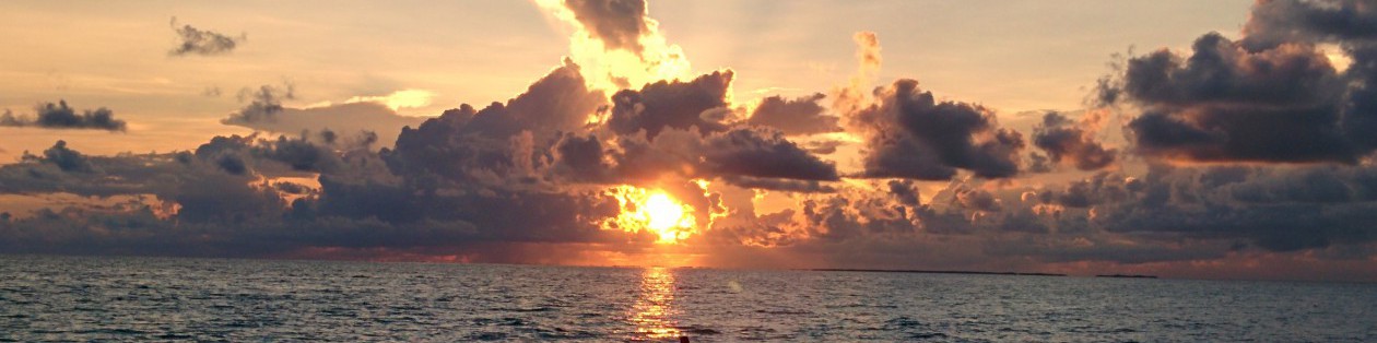 Discovered Self Yoga